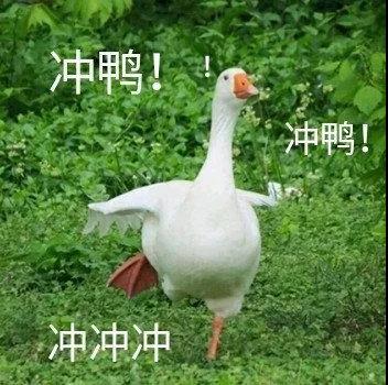 冲鸭5.jpg